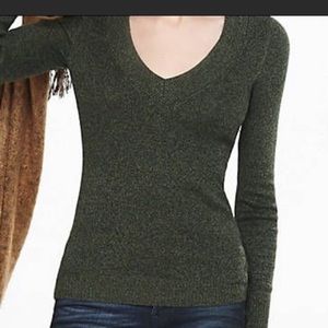 Express v-neck sweater